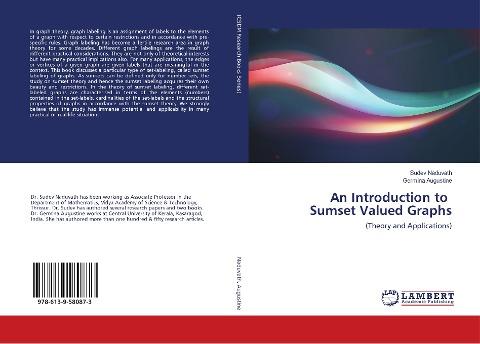 An Introduction to Sumset Valued Graphs