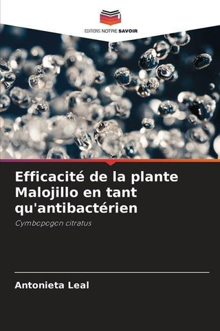 Efficacité de la plante Malojillo en tant qu'antibactérien