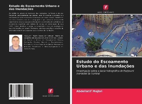 Estudo do Escoamento Urbano e das Inundações