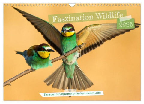 Faszination Wildlife (Wandkalender 2026 DIN A3 quer), CALVENDO Monatskalender