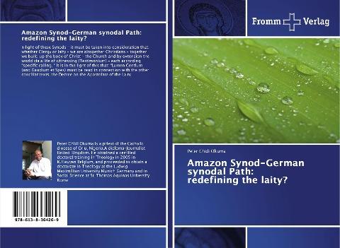 Amazon Synod-German synodal Path: redefining the laity?