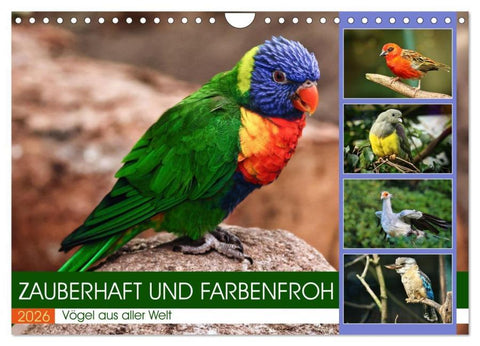 Zauberhaft und farbenfroh (Wandkalender 2026 DIN A4 quer), CALVENDO Monatskalender