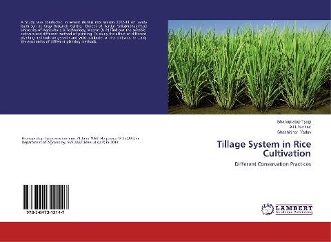 Tillage System in Rice Cultivation