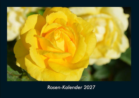 Rosen-Kalender 2027 Fotokalender DIN A4