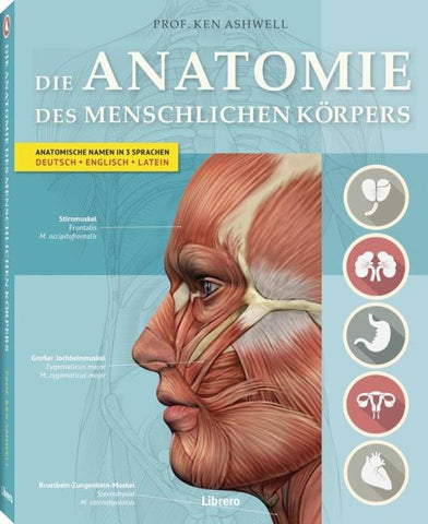 DIE ANATOMIE DES MENSCHLICHEN KÖRPERS