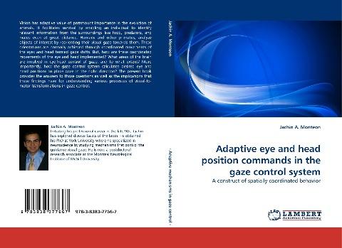 Adaptive eye and head position commands in the gaze control system