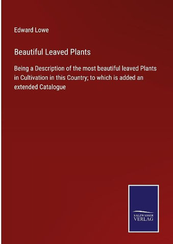 Beautiful Leaved Plants