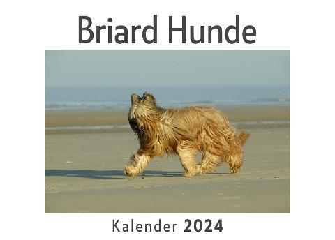 Briard Hunde (Wandkalender 2024, Kalender DIN A4 quer, Monatskalender im Querformat mit Kalendarium, Das perfekte Geschenk)