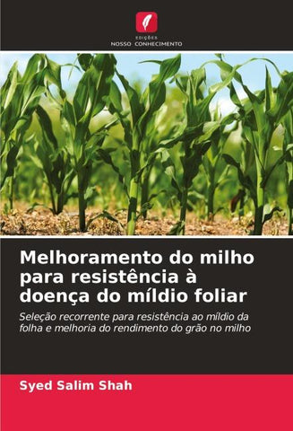 Melhoramento do milho para resistência à doença do míldio foliar