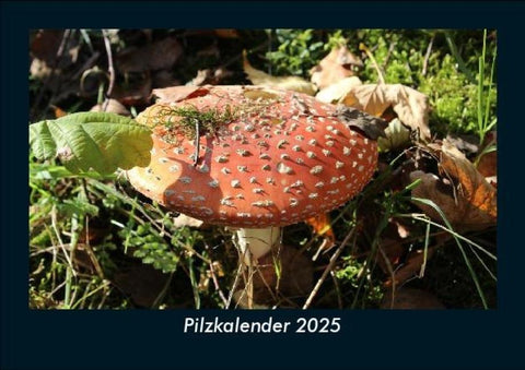 Pilzkalender 2025 Fotokalender DIN A5
