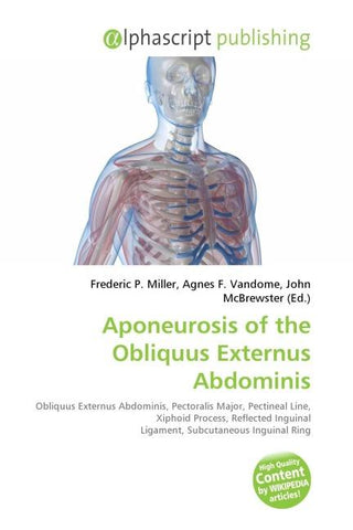 Aponeurosis of the Obliquus Externus Abdominis