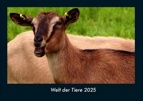 Welt der Tiere 2025 Fotokalender DIN A4