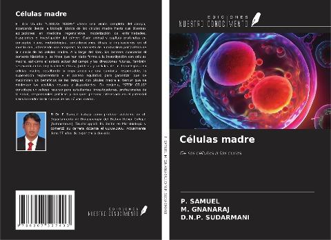 Células madre