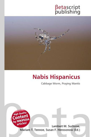 Nabis Hispanicus
