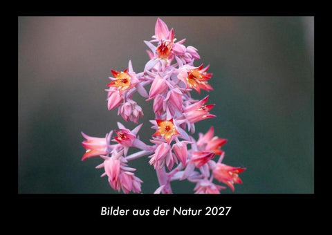 Bilder aus der Natur 2027 Fotokalender DIN A3