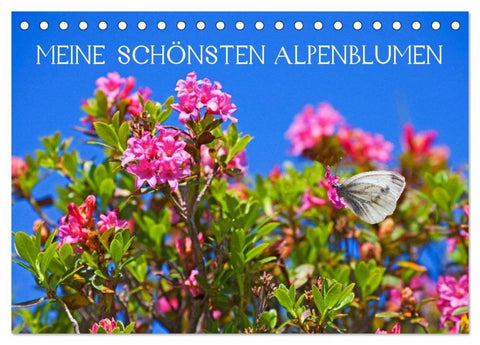 Meine schönsten Alpenblumen (Tischkalender 2026 DIN A5 quer), CALVENDO Monatskalender