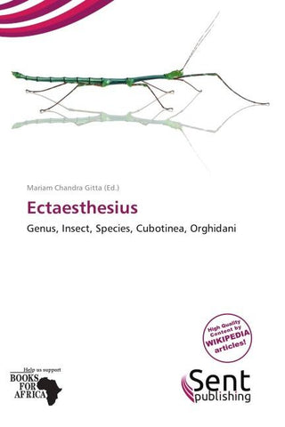 Ectaesthesius