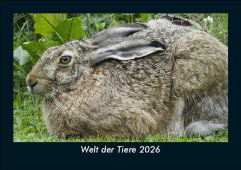 Welt der Tiere 2026 Fotokalender DIN A5