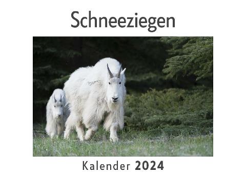 Schneeziegen (Wandkalender 2024, Kalender DIN A4 quer, Monatskalender im Querformat mit Kalendarium, Das perfekte Geschenk)