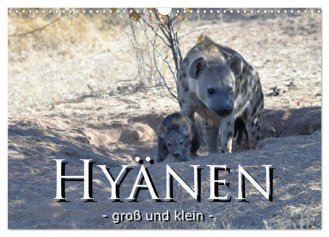 Hyänen - groß und klein (Wandkalender 2026 DIN A3 quer), CALVENDO Monatskalender