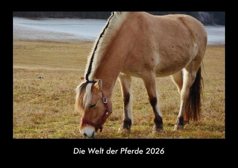 Die Welt der Pferde 2026 Fotokalender DIN A3