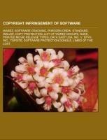 Copyright infringement of software