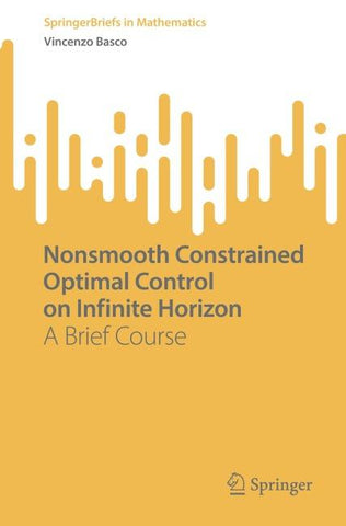 Nonsmooth Constrained Optimal Control on Infinite Horizon