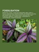 Fossilisation