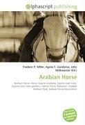 Arabian Horse