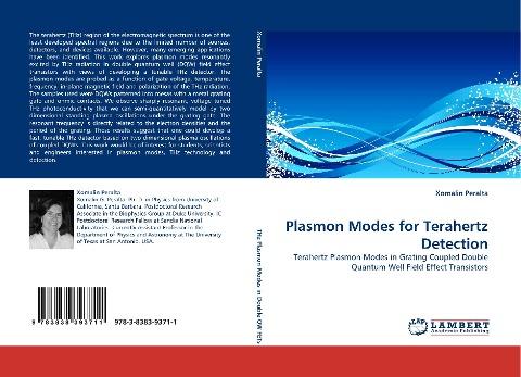 Plasmon Modes for Terahertz Detection