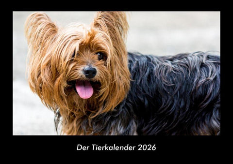 Der Tierkalender 2026 Fotokalender DIN A3