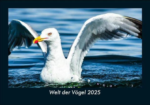 Welt der Vögel 2025 Fotokalender DIN A5