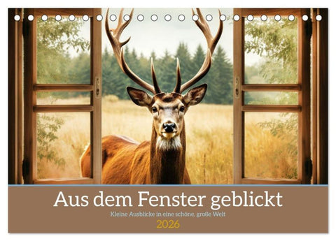 Aus dem Fenster geblickt (Tischkalender 2026 DIN A5 quer), CALVENDO Monatskalender