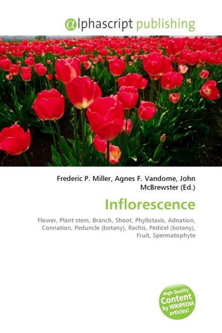 Inflorescence