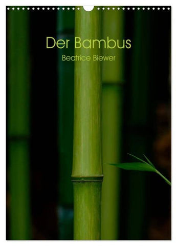 Der Bambus (Wandkalender 2026 DIN A3 hoch), CALVENDO Monatskalender