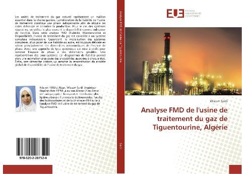 Analyse FMD de l'usine de traitement du gaz de Tiguentourine, Algérie