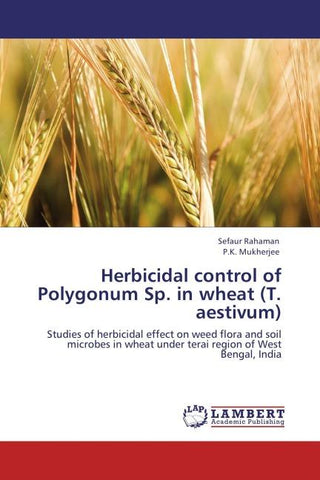 Herbicidal control of Polygonum Sp. in wheat (T. aestivum)