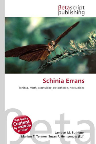Schinia Errans