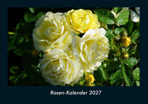 Rosen-Kalender 2027 Fotokalender DIN A4