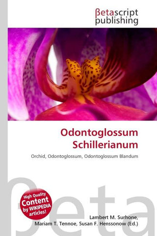 Odontoglossum Schillerianum