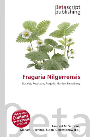 Fragaria Nilgerrensis