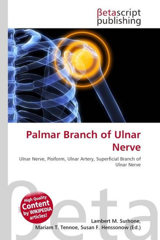 Palmar Branch of Ulnar Nerve