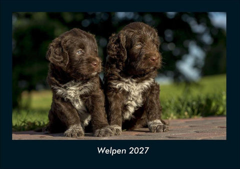 Welpen 2027 Fotokalender DIN A4
