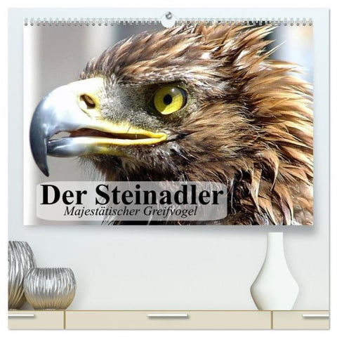Der Steinadler. Majestätischer Greifvogel (hochwertiger Premium Wandkalender 2026 DIN A2 quer), Kunstdruck in Hochglanz