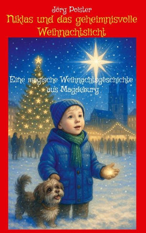 Niklas und das geheimnisvolle Weihnachtslicht