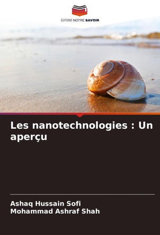 Les nanotechnologies : Un aperçu