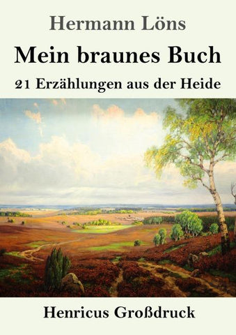 Mein braunes Buch (Großdruck)