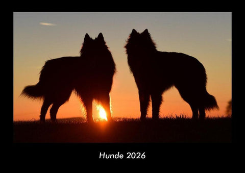 Hunde 2026 Fotokalender DIN A3