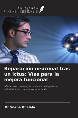 Reparación neuronal tras un ictus: Vías para la mejora funcional