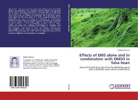Effects of EMS alone and in combination with DMSO  in faba bean